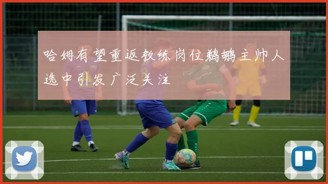 哈姆有望重返教练岗位鹈鹕主帅人选中引发广泛关注