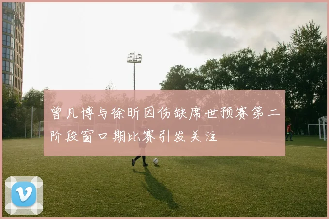 曾凡博与徐昕因伤缺席世预赛第二阶段窗口期比赛引发关注